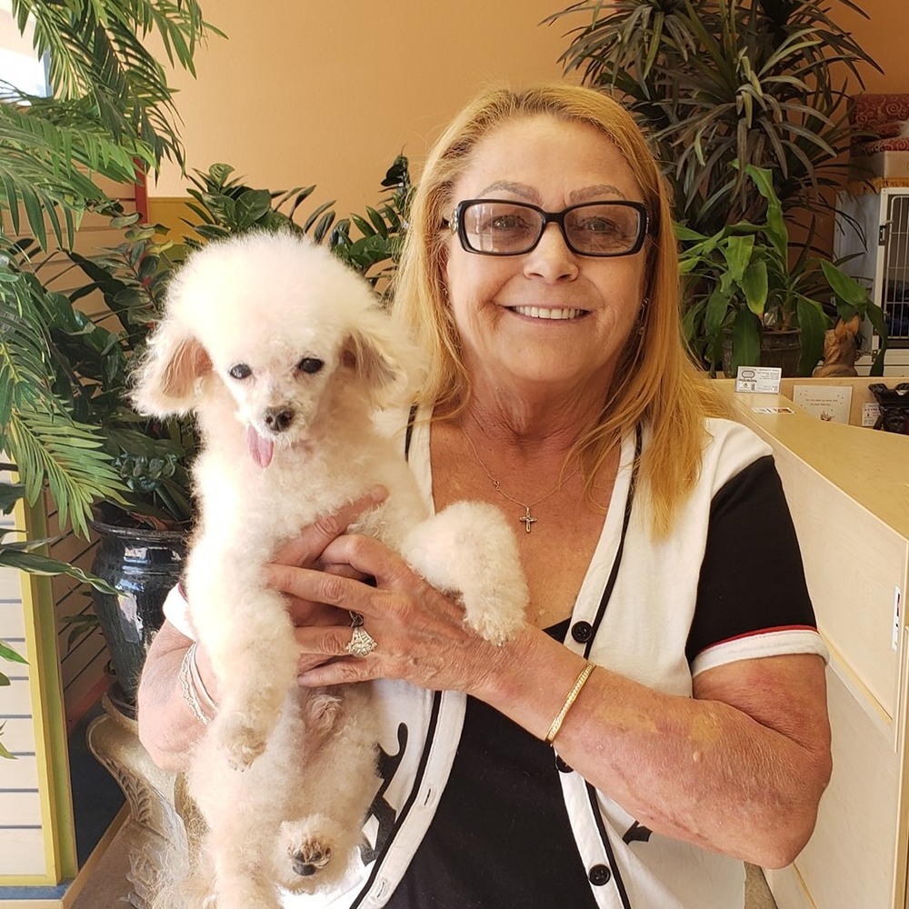 Meet your Posher, Lila